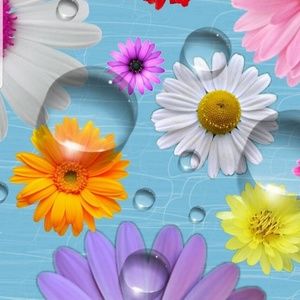 Meet your Posher, Leona